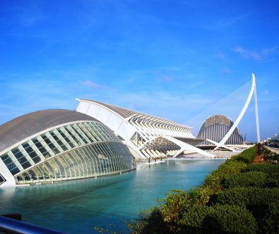 Move to Valencia - Oceanográfico